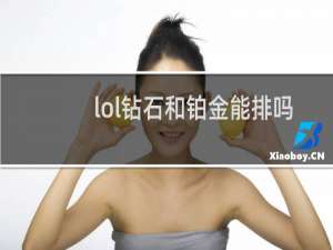 lol钻石和铂金能排吗