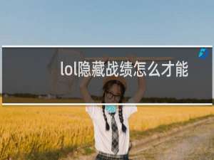 lol隐藏战绩怎么才能看见呢
