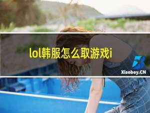 lol韩服怎么取游戏id