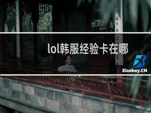 lol韩服经验卡在哪