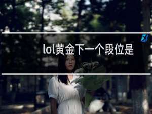 lol黄金下一个段位是什么