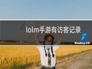 lolm手游有访客记录吗