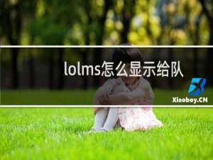 lolms怎么显示给队友看