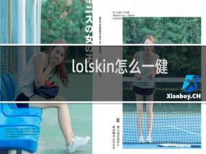 lolskin怎么一健换肤