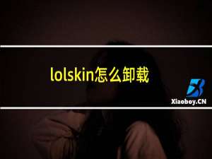 lolskin怎么卸载完