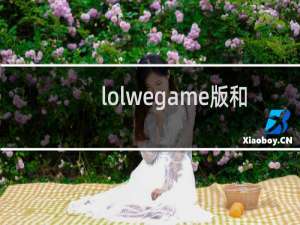 lolwegame版和普通lol可以一起玩吗