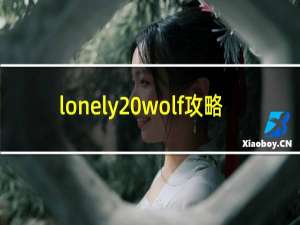 lonely wolf攻略