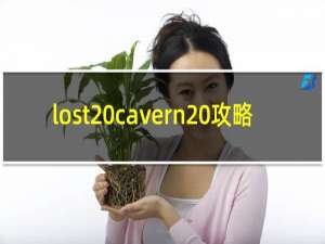 lost cavern 攻略