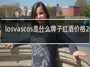 losvascos是什么牌子红酒价格2019