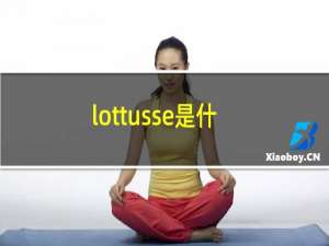 lottusse是什么牌子（lottusse是什么档次）