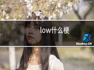 low什么梗