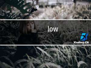 low bee是什么梗，蜜蜂低飞 low bee冷笑话啥意思啊什么梗