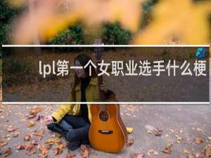 lpl第一个女职业选手什么梗