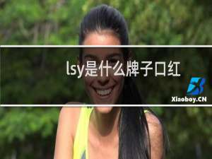 lsy是什么牌子口红