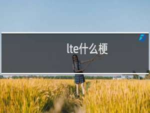 lte什么梗
