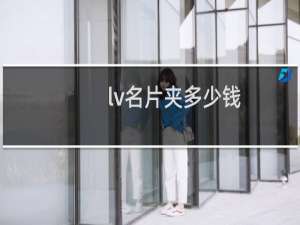 lv名片夹多少钱