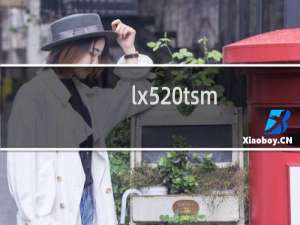lx520tsm.com网站数据还在吗
