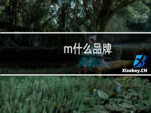 m什么品牌