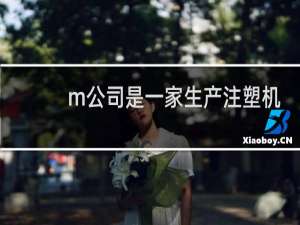 m公司是一家生产注塑机械设备的中型企业