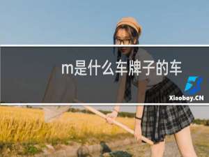 m是什么车牌子的车