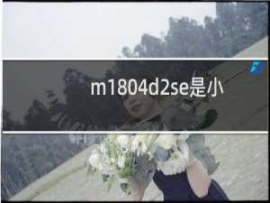 m1804d2se是小米手机什么型号