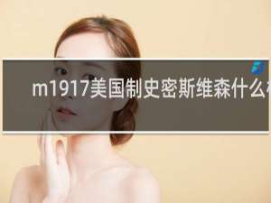 m1917美国制史密斯维森什么梗