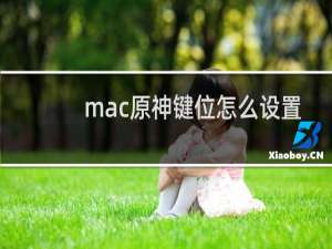 mac原神键位怎么设置
