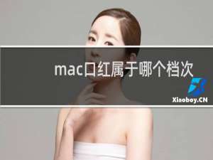 mac口红属于哪个档次