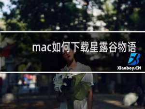 mac如何下载星露谷物语