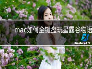 mac如何全键盘玩星露谷物语