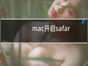 mac开启safari开发模式的方法(safari开发者工具)