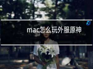 mac怎么玩外服原神
