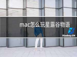 mac怎么玩星露谷物语