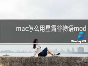 mac怎么用星露谷物语mod