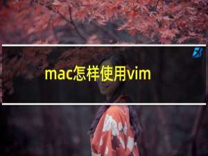 mac怎样使用vim