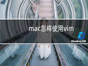 mac怎样使用vim