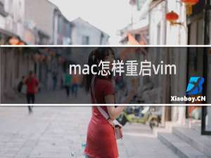 mac怎样重启vim