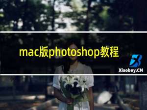 mac版photoshop教程
