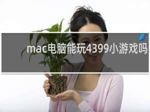 mac电脑能玩4399小游戏吗