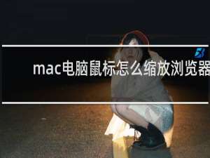 mac电脑鼠标怎么缩放浏览器