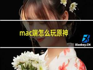 mac端怎么玩原神