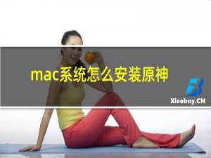 mac系统怎么安装原神