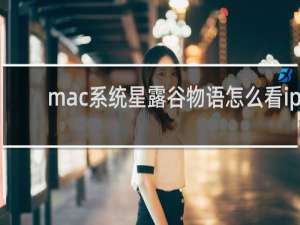 mac系统星露谷物语怎么看ip