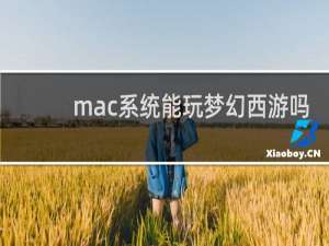 mac系统能玩梦幻西游吗