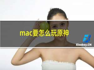 mac要怎么玩原神