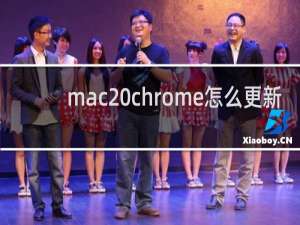 mac chrome怎么更新