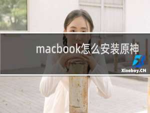 macbook怎么安装原神