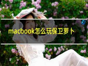 macbook怎么玩保卫萝卜