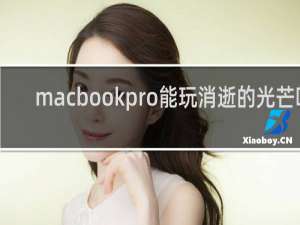 macbookpro能玩消逝的光芒吗