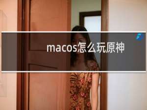 macos怎么玩原神